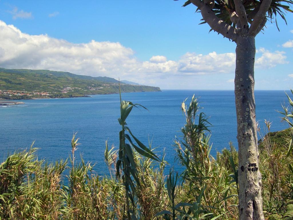 Willa Casa Quinta Do Marques Ponta Delgada Zewnętrze zdjęcie