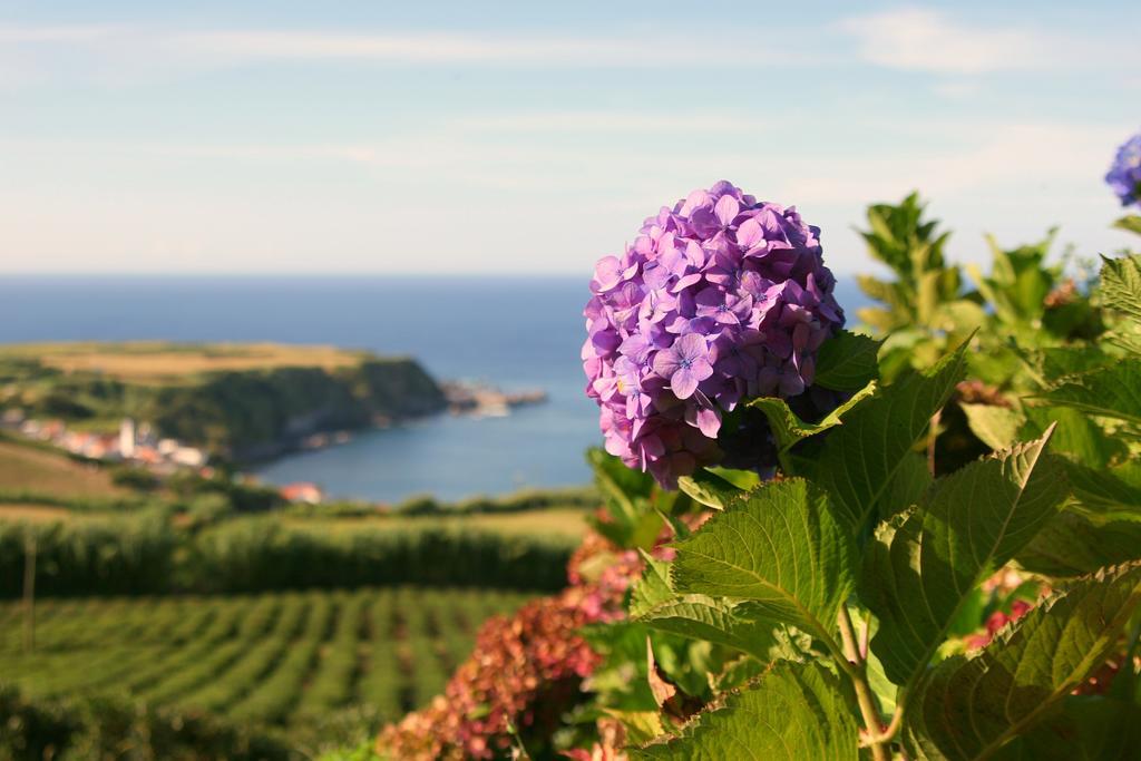 Willa Casa Quinta Do Marques Ponta Delgada Zewnętrze zdjęcie